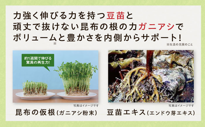 【3箱入　90日分】いとびはつ はぐくむ青汁 糸島市 / 株式会社ピュール [AZA265]
