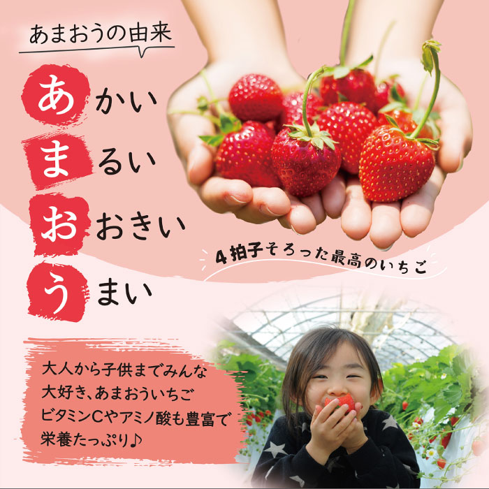 【先行予約】【全2回定期便】あまおう いちご 1,080g ( 約 270g × 4パック )【2026年1月中旬以降順次発送】 糸島市 / 株式会社HSP-テクノ [AZL005]