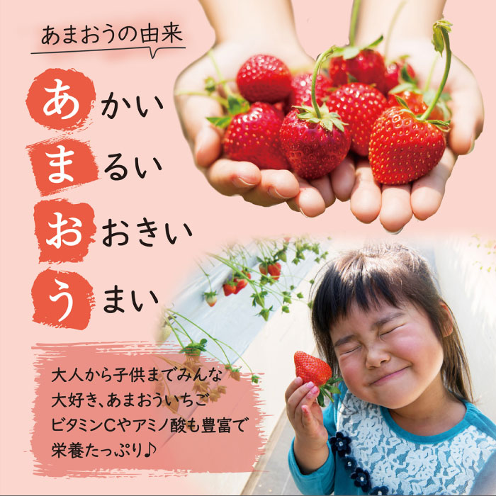 【先行予約】【全2回定期便】【2026年3月初旬より順次発送】【 数量限定 】 あまおう いちご 1,620g ( 約 270g × 6パック ) 糸島市 / 株式会社HSP-テクノ [AZL006]