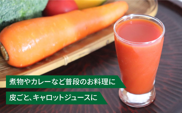 【栽培期間中 農薬不使用！】スイート にんじん 3kg ×1箱 糸島市 / 農香美人 [AAG054] 人参