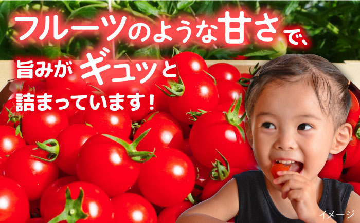 フルティカ 1kg 　糸島市 / かわぞえ農園 トマト 中玉トマト  [AAM005]