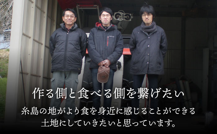 爽やかに甘い！ 糸島産 「はるか」 ジャンボサイズ 約5kg（3L-4Lサイズミックス）糸島市 / 二丈赤米産直センター [ABB031]