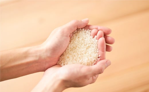 【栽培期間中農薬不使用！】糸島産ヒノヒカリ 10kg（※限定15袋） 糸島市 / みのりのりん [ABD009]