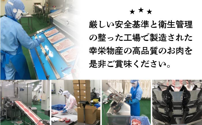 【全12回定期便】博多和牛ヒレステーキ500g（約165g×3枚）《糸島》【幸栄物産】 [ABH043]