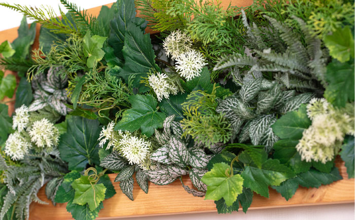 Wall Green 糸島市 / HAKATAYA【博多屋家具店】 [ABL002]