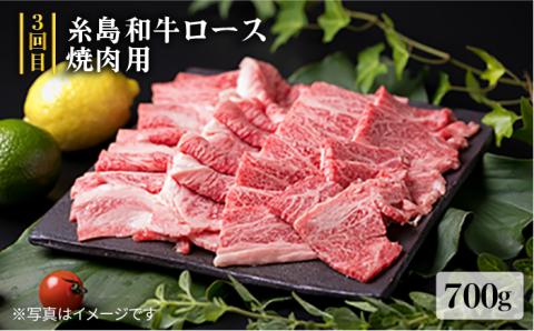 美味しさ満載！贅沢お肉の定期便全5回（月1回） 4人家族用 糸島ミートデリ工房 [ACA083]