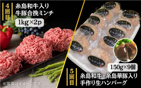 【定期便】家族でたっぷり！ボリューム満載 糸島お肉セット 定期便 全7回 （月1回） 3人用 糸島市 / 糸島ミートデリ工房 [ACA086] 肉セット 精肉セット 肉定期便 定期便肉 定期便おすすめ 定期便月1回