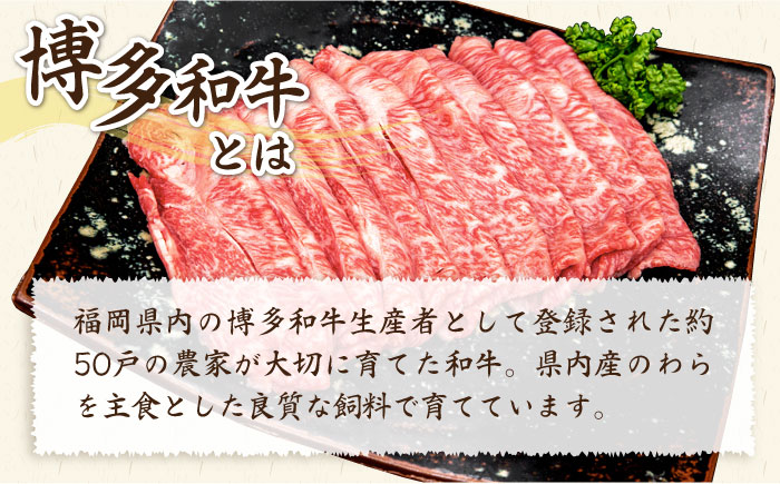 【全6回定期便】A4ランク 博多和牛 肩ロース / バラ肉 ミックス スライス 500g×6回 計3kg 糸島ミートデリ工房 [ACA251]