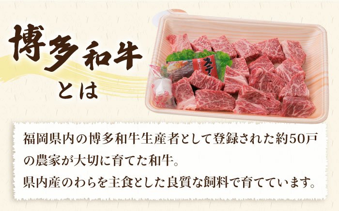 【全3回定期便】【 セット 】A4ランク 糸島 黒毛和牛 ヒレ肉 サイコロステーキ 300g / 生 ハンバーグ 150g × 3個 糸島市 / 糸島ミートデリ工房 [ACA296]