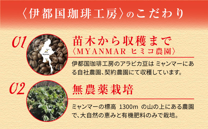 ドリップコーヒーギフト15袋セット《糸島》【伊都国珈琲工房】 [ACK002]