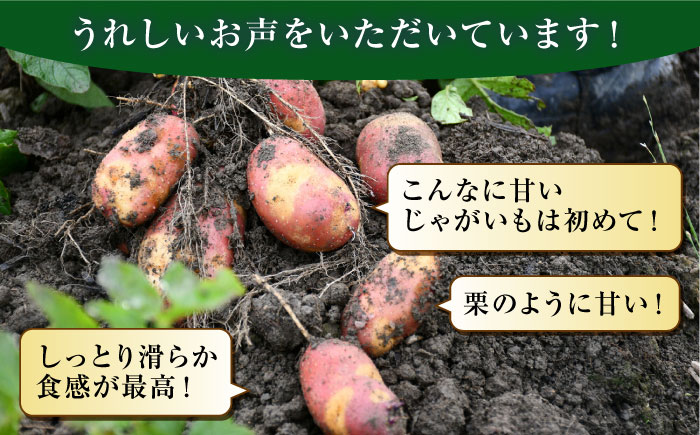 糸島育ちのジャガイモ 2種食べ比べ インカのめざめ インカのひとみ 各1kg・計2kg  糸島市 / 糸島ボンテール農園 [ACO012]