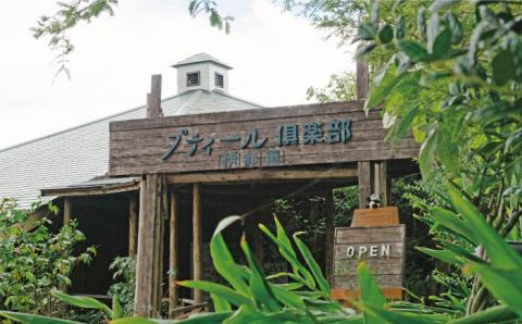 プティール倶楽部のバジルペースト ～ジェノベーゼ～ 3本セット 糸島市 / プティール倶楽部 伊都国【いとしまごころ】[ACZ002] バジル ソース