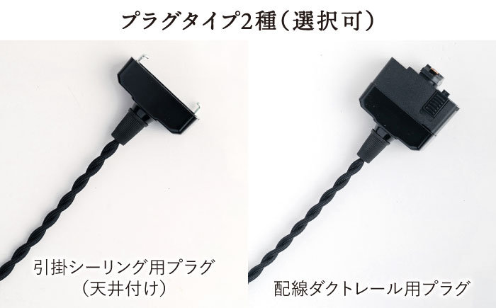 【受注生産】ペンダント ライト 3（ガラス 径20cm）  糸島市 / タビノキセキ [ADB038] 照明 インテリア