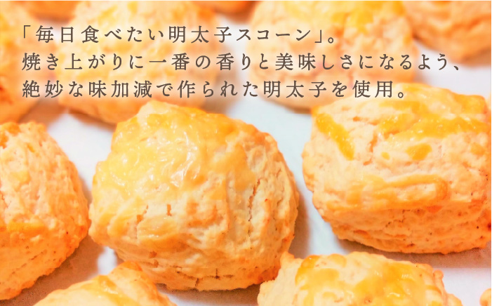 【年内発送】【ご贈答用】定番スコーン+明太チーズスコーン 計12個セット《糸島》【キナフク】 [AFA012]