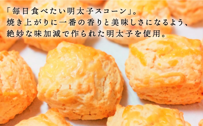 【全12回定期便】【 ご自宅用 】 定番 スコーン + 明太 チーズ スコーン 計 12個 セット 糸島市 / スコーン専門店キナフク [AFA026]