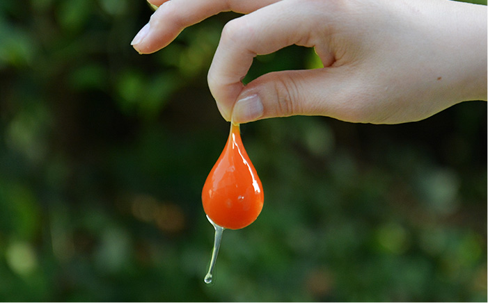 つまんでご卵 糸島ロール & マカロン5個 詰め合わせ 《糸島》【緑の農園】 [AGA003]