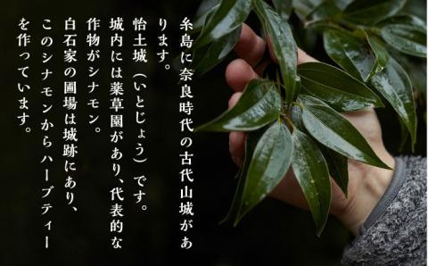 【ANA限定】ハニージンジャー・アップル・シナモンティーセット 糸島市 / 泉屋六治【いとしまごころ】 [AGC999]