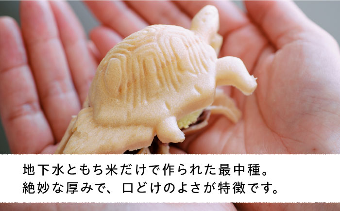 最中 ジェラート カメ六さん 最中種8個 アイス2種 あんこ付き 糸島市 / LoiterMarketLABO アイス モナカ [AGD034]