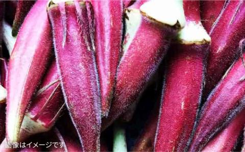 【 全3回 定期便 】【 農薬・化学肥料 不使用 】こだわり 高級希少野菜 セット （ 7品前後 ） 《糸島》【オーガニックナガミツファーム】 	[AGE016]