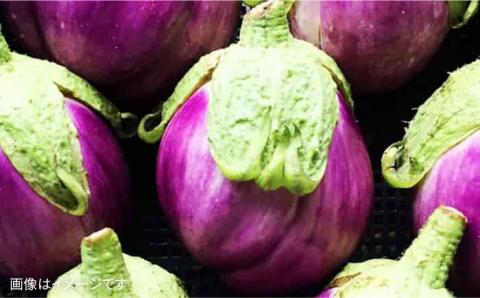 【 全6回 定期便 】【 農薬・化学肥料 不使用 】こだわり 高級希少野菜 セット （ 7品 前後 ） 《糸島》【オーガニックナガミツファーム】 	[AGE017]