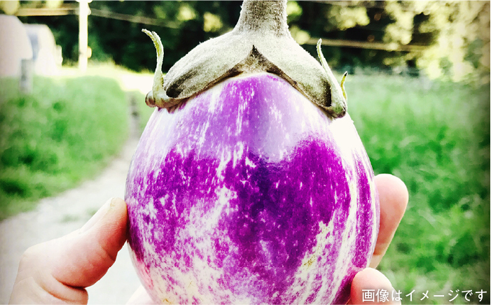 【 全3回 定期便 】朝採り オーガニック 旬 野菜 お任せ 5品 ＋ 糸島産 大ヒット 特産 加工品 2品 のセット《糸島》【オーガニックナガミツファーム】	[AGE029]