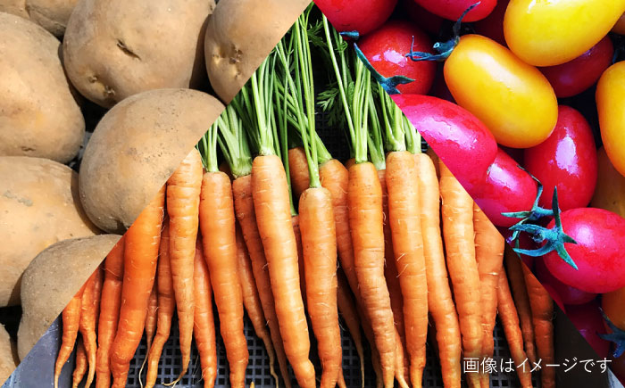 【全12回定期便】【☆畑直送☆栽培期間中農薬不使用！】お 米 2kg & 野菜 5品 の セット 糸島市 / オーガニックナガミツファーム 	[AGE038]