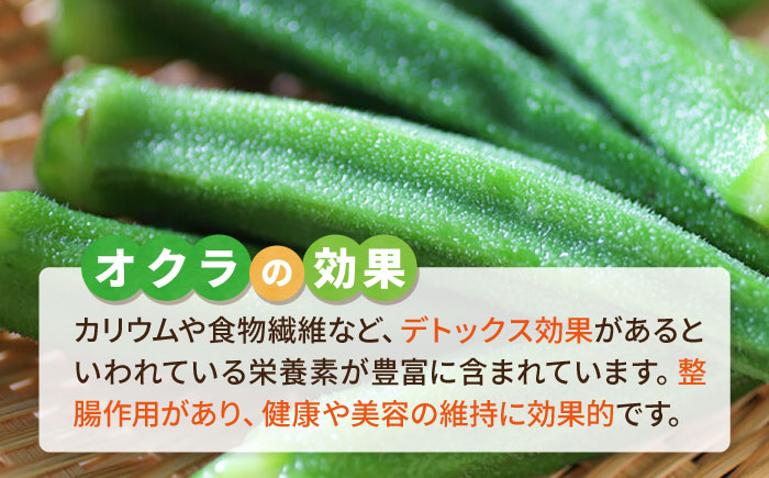 オクラ 500g 冷凍 旬の時期に急速冷凍 【福岡県糸島産】 糸島市 / オーガニックナガミツファーム 野菜 おくら 	[AGE044]