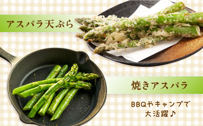 アスパラガス 800g 冷凍 カット済み 旬の時期に急速冷凍 【福岡県糸島産】 糸島市 / オーガニックナガミツファーム 野菜 アスパラ [AGE050]