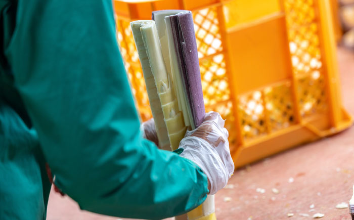 【年内発送】福岡産 糸島メンマ 2パック 糸島市 / あいしん食品株式会社 / おつまみ ラーメン [AGI002]