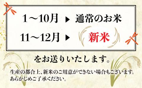 【全6回(月2回)定期便】栽培期間中 農薬不使用 ヒノヒカリ 10kg 糸島市/シーブ [AHC008] 米 定期便