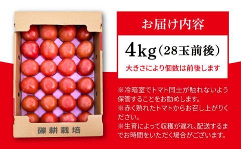 【先行受付】糸島産 絶品トマト かれん （4kg28玉前後）【2025年12月上旬以降順次発送】 糸島市 / シーブ 大玉トマト 野菜 とまと [AHC019]