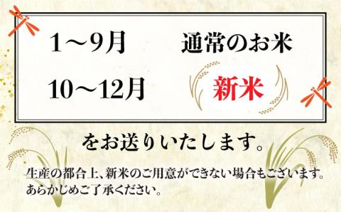 【全3回(月1)定期便】とにかくおいしいお米 ひのひかり または にこまる 10kg 糸島市/シーブ [AHC050]