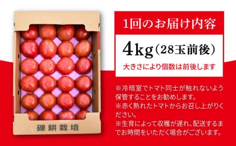 【先行受付】【全6回定期便】糸島産 絶品トマト かれん (4kg28玉前後) 【2025年12月上旬以降順次発送】糸島市 / シーブ 野菜 とまと 大玉トマト [AHC067]
