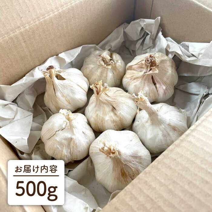 【数量限定！】にんにく500g 大きい！美味しい！糸島市からお届けする自慢のにんにくです【爽風農園】にんにく/ガーリック 【いとしまごころ】[AHZ001]