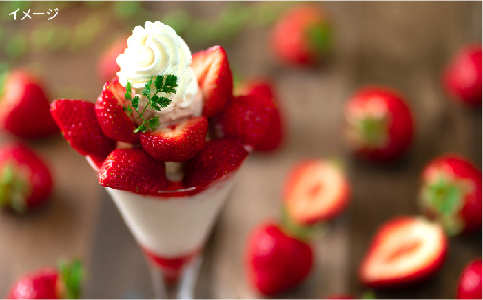 【先行予約】糸島産【春】 あまおう 4パック  【2026年2月上旬以降順次発送】 《糸島》【南国フルーツ株式会社】 [AIK008]