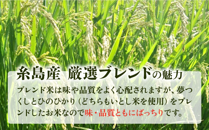 【年内発送】【令和7年産新米】 いとし米 厳選ブレンド 10kg (糸島産) 糸島市 / 三島商店 [AIM046] 米 白米
