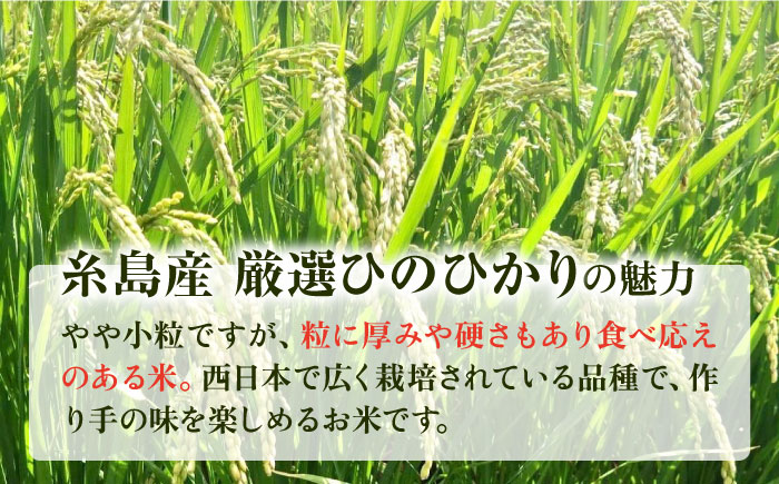 【令和7年産新米】【全3回定期便】いとし米 厳選ひのひかり 10kg×3回(糸島産) 糸島市 / 三島商店[AIM050] 白米米 白米お米 白米ご飯 白米ひのひかり 白米ヒノヒカリ 白米九州 白米福岡 白米5キロ 白米ギフト 白米贈り物 白米贈答 白米お祝い 白米お返し 白米定期便
