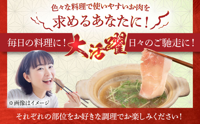 【全3回定期便】糸島豚 バラエティ セット(とんかつ、肩ロース、しゃぶしゃぶ) 1.6kg 糸島市 / トラヤミートセンター 豚肉 セット 大容量 [AJD021]