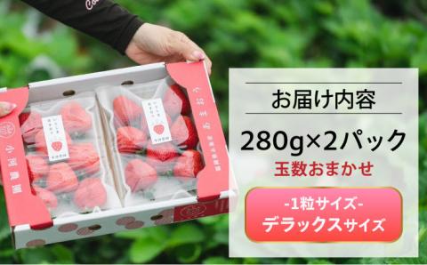 糸島産 完熟あまおう 280g×2パック (デラックスサイズ) 糸島市 / 小河農園 [AJN001]
