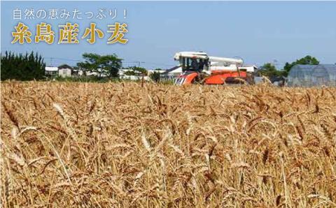 鯛だしまるいとちゃんぽん（2食入）×3 合計6食 やますえ [AKA017]