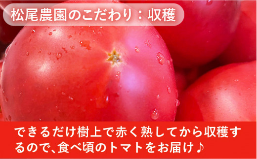 樹上でポーッと熟れた 甘～い トマト 2kg 《糸島》 【松尾農園】 [AKI001]