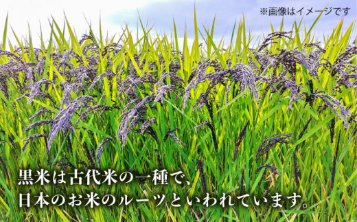 十穀米 糸島市 / Carna [ALA055] 雑穀米 雑穀