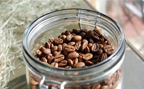 Petani coffee [COFFEE GIFT] アイスコーヒーゲイシャ種 × 3本 糸島市 / Petani coffee [ALC009]