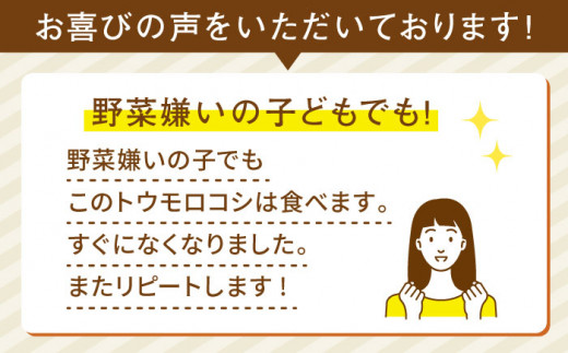 【先行受付】果物 みたいに 極甘 ！ 早朝 収穫 とうもろこし Lサイズ ( 300g )× 8本 【2026年6月中旬以降順次発送】《糸島》【有限会社ウラタ農園】 [ALI003]