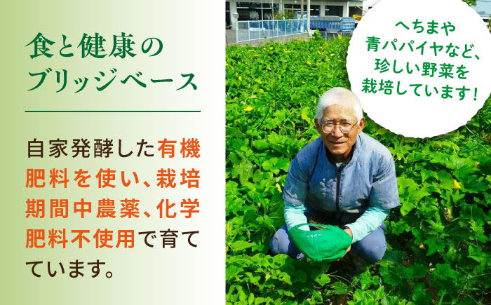 糸島産 冬瓜 約4kg 【先行予約・2024年9月より順次発送】 糸島市 / 食と健康のブリッジベース 野菜 冬瓜スープ [ANN002]