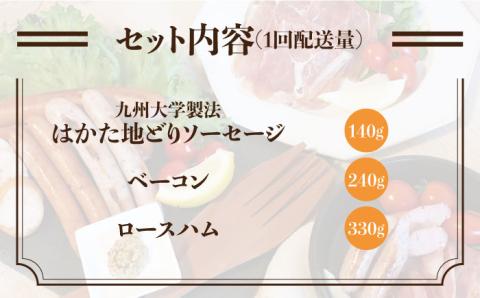 【 全6回 定期便 】 糸島 の 陽光 ハム セット 2 《糸島》 【志摩スモークハウス】 [AOA012]