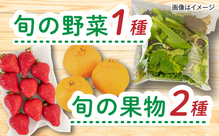 【全4回定期便 令和7年産新米】糸島産 魚 米 野菜 果物 厳選詰め合わせ MINORI BOX Mサイズ【季節ごとに年4回お届け】 糸島市 / emma.Inc / 米 魚 野菜 果物 詰め合わせ [AOP005]