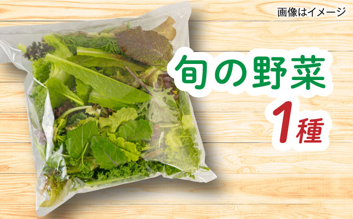 【全3回定期便】糸島産 魚 米 野菜 果物 厳選詰め合わせ MINORI BOX Sサイズ 糸島市 / emma.Inc / 米 魚 野菜 詰め合わせ [AOP020]