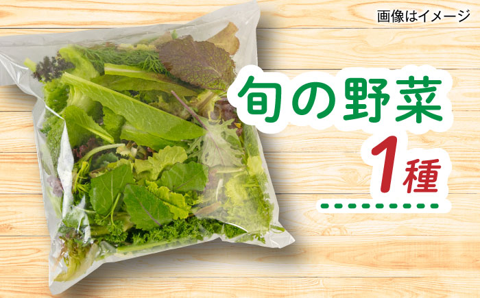 【全6回定期便】糸島産 魚 米 野菜 果物 厳選詰め合わせ MINORI BOX Sサイズ 糸島市 / emma.Inc / 米 魚 野菜 詰め合わせ [AOP021]