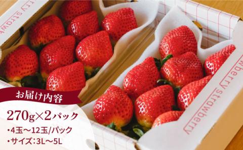 【先行受付】完熟あまおう 270g × 2パック【2026年1月より順次発送】 糸島市 / slowberry strawberry [APJ002] 苺 あまおう イチゴ